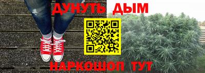 гидра Будённовск