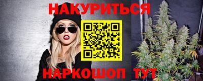 гидра Будённовск