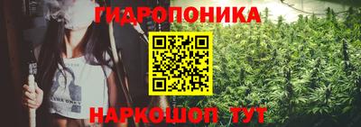 гидра Будённовск