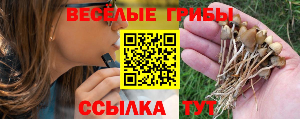 Кувандык  как найти наркотики  Вход с VPN  Галлюциногенные грибы Psilocybe 